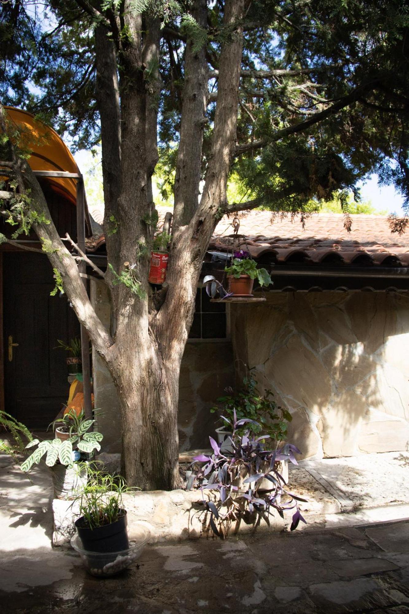 Старата Баkалия The Old Grocery, Guest Rooms Balçık Dış mekan fotoğraf
